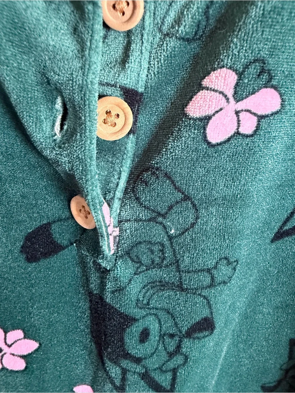 Kids Girls’s Green Floral Bluey Print Dress - Cozy Long Sleeve 4T